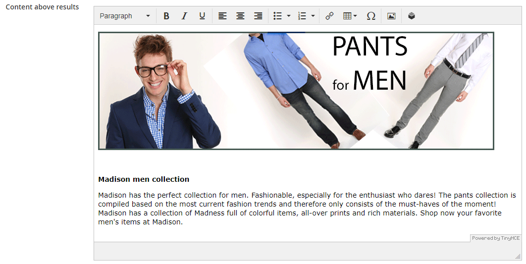 magento2 land3.png
